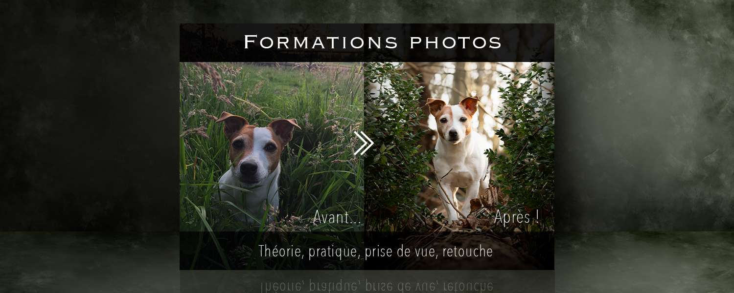 Exemple avant apres formation prise de vue retouche photo