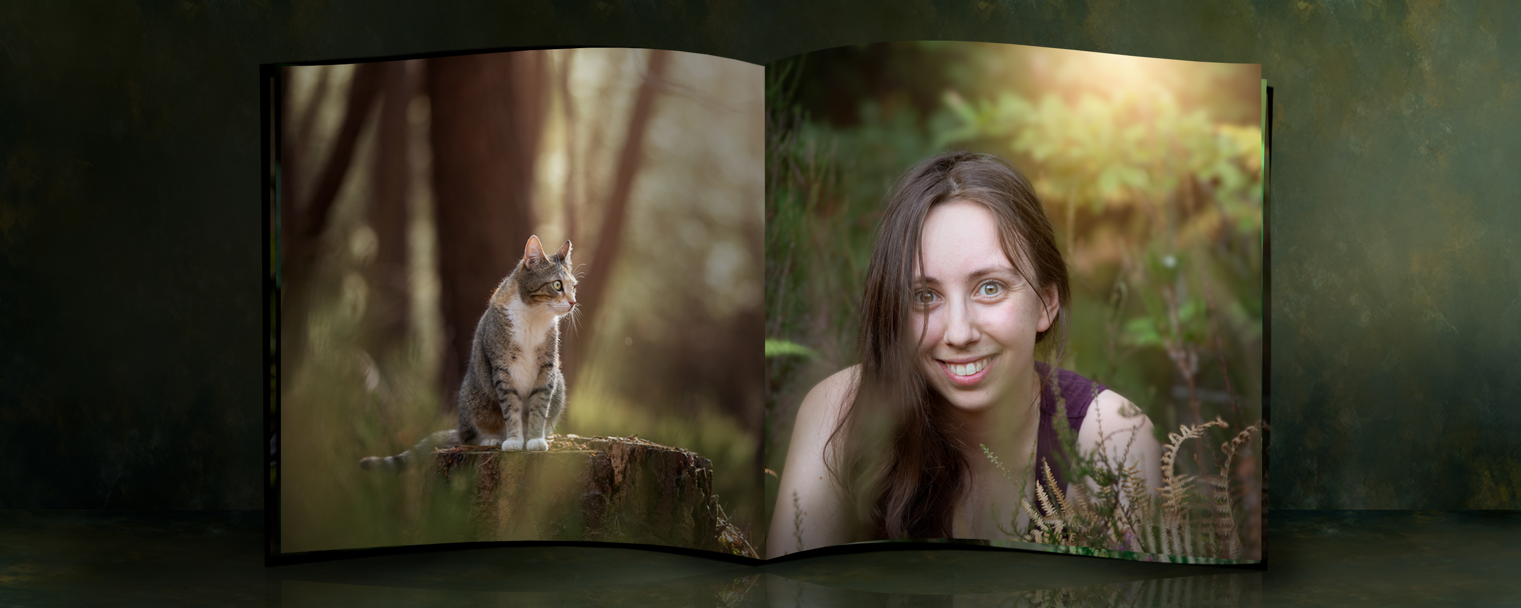 portfolio livre photo photographe professionnel