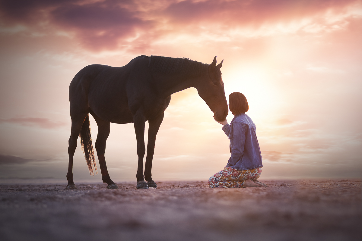 cheval bai brun cavalier couche de soleil plage photo profesionnelle