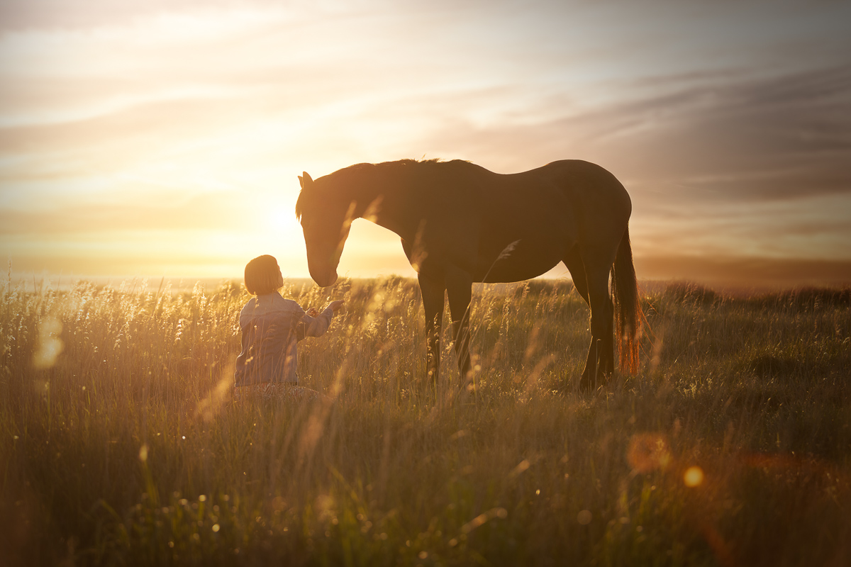 seance photo cheval cavaliere coucher de soleil golden hour