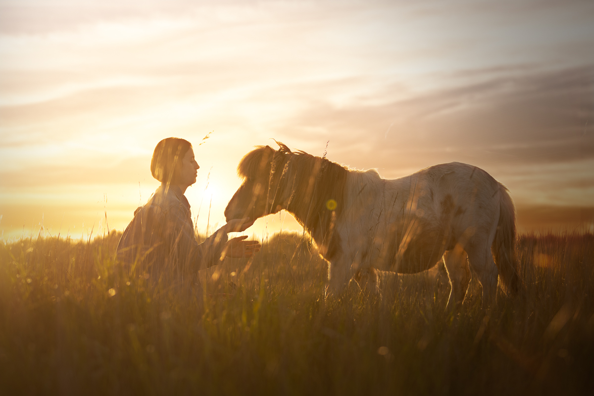 seance photo poney cavaliere coucher de soleil golden hour