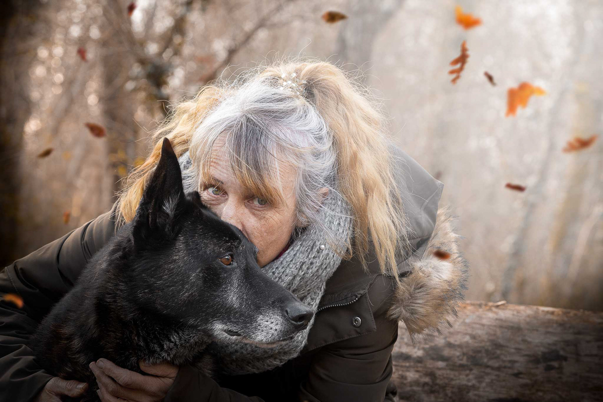 chien berger hollandais mignon photographe portrait