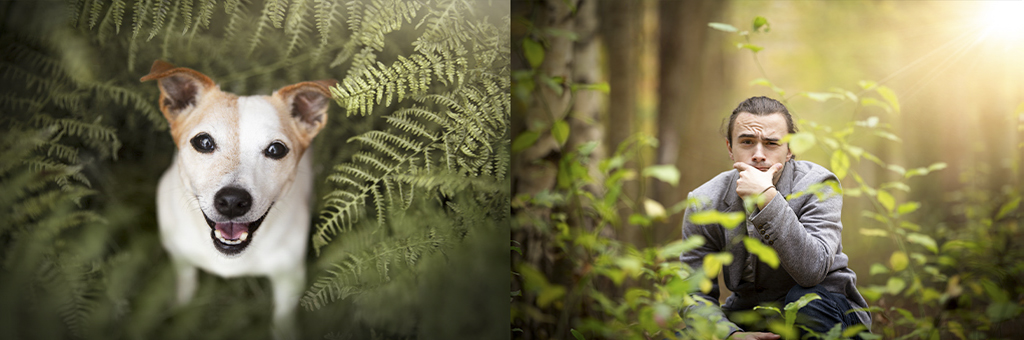 exemple photos forfaits en exterieurs photographe famille animaux