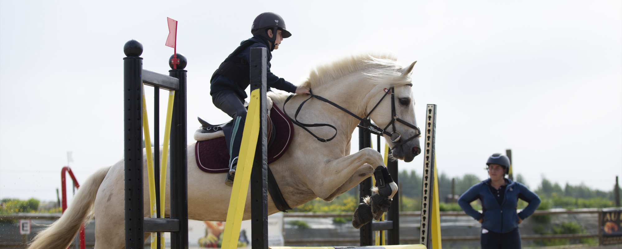 seance photo cavalier saute cso cheval